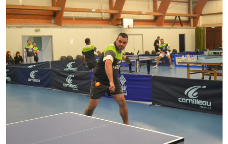 RESULTATS MITIGES POUR LES REGIONALES